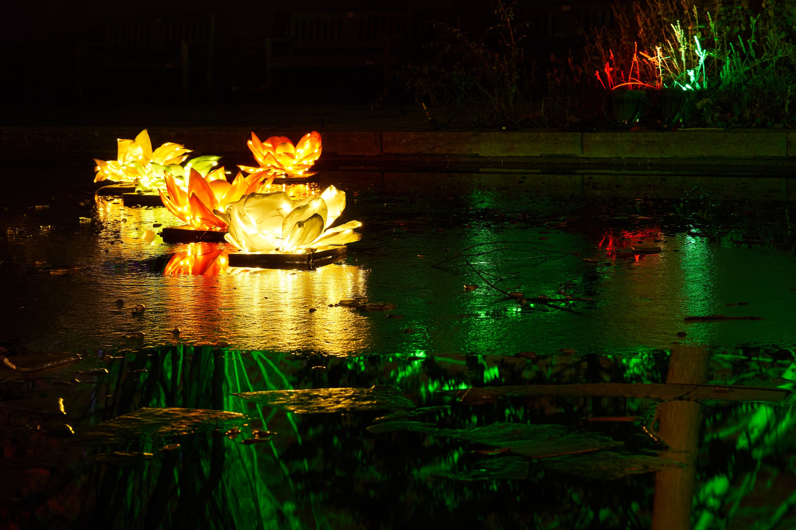 2023 01 23 Parkleuchten 0132